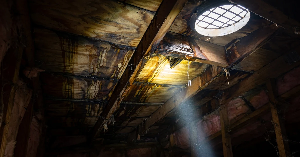 Roof Leak Repair in Katy: technician tracing a ceiling water stain to its roof source